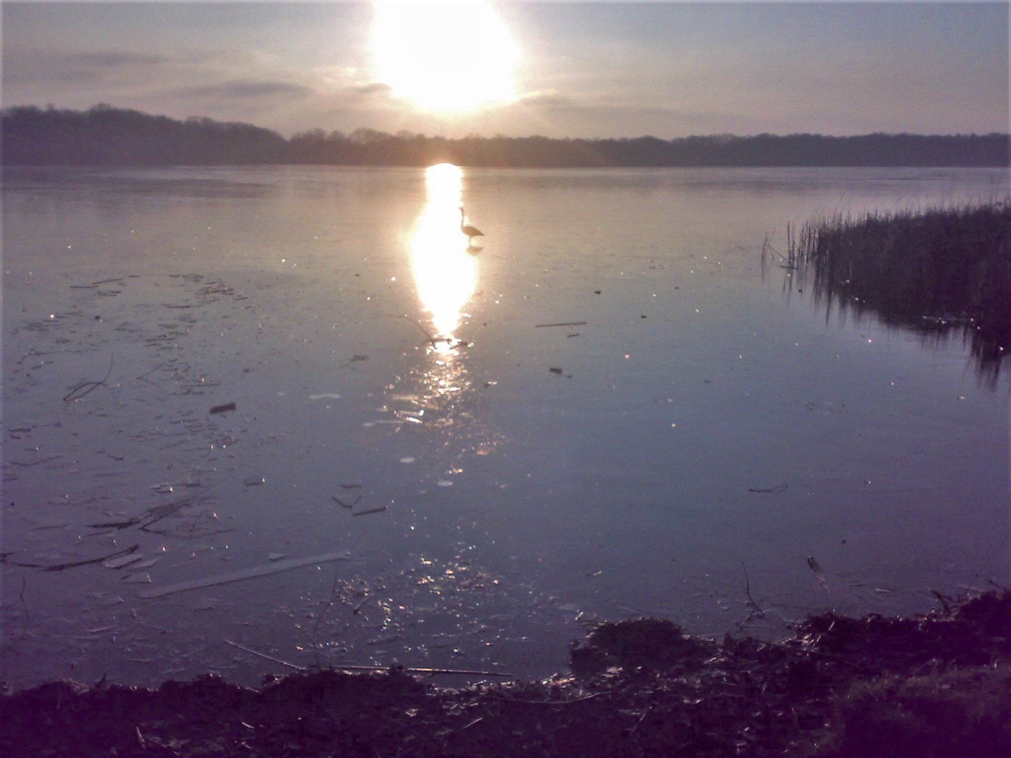 Geltow, Petzinsee align=