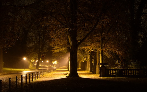 Die Allee vor der Orangerie