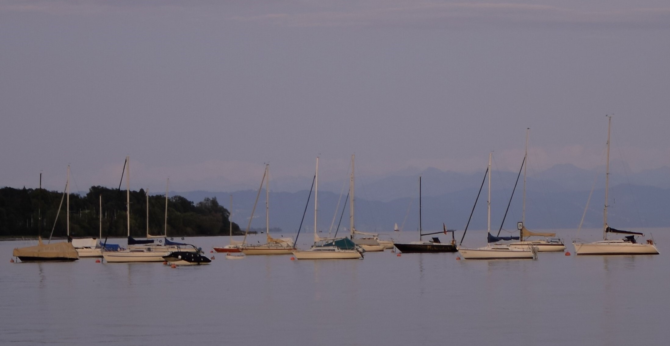 vor dem Hagnauer Hafen, Richtung Immenstaad